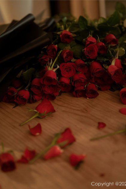 日本成人80综合网