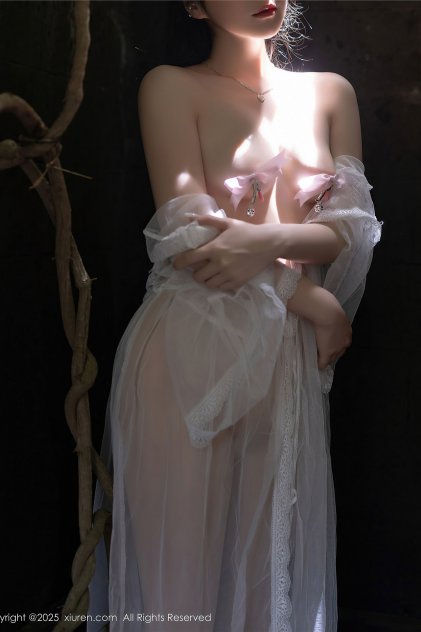 日韩精品高清不卡