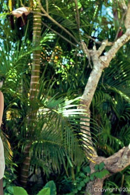 国产秦先生11部艺校酒店在线