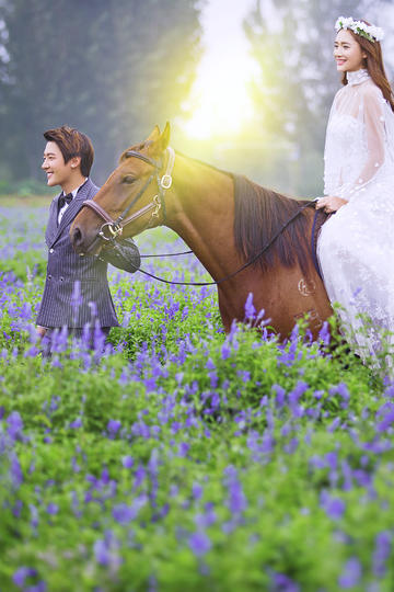 不可接触(不可接触者)